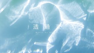 透過夏 Acoustic ver, / Guiano feat.理芽 - Covered by しほ