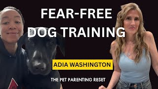 Fear Free, Force Free Dog Training Build Confidence, Not Compliance