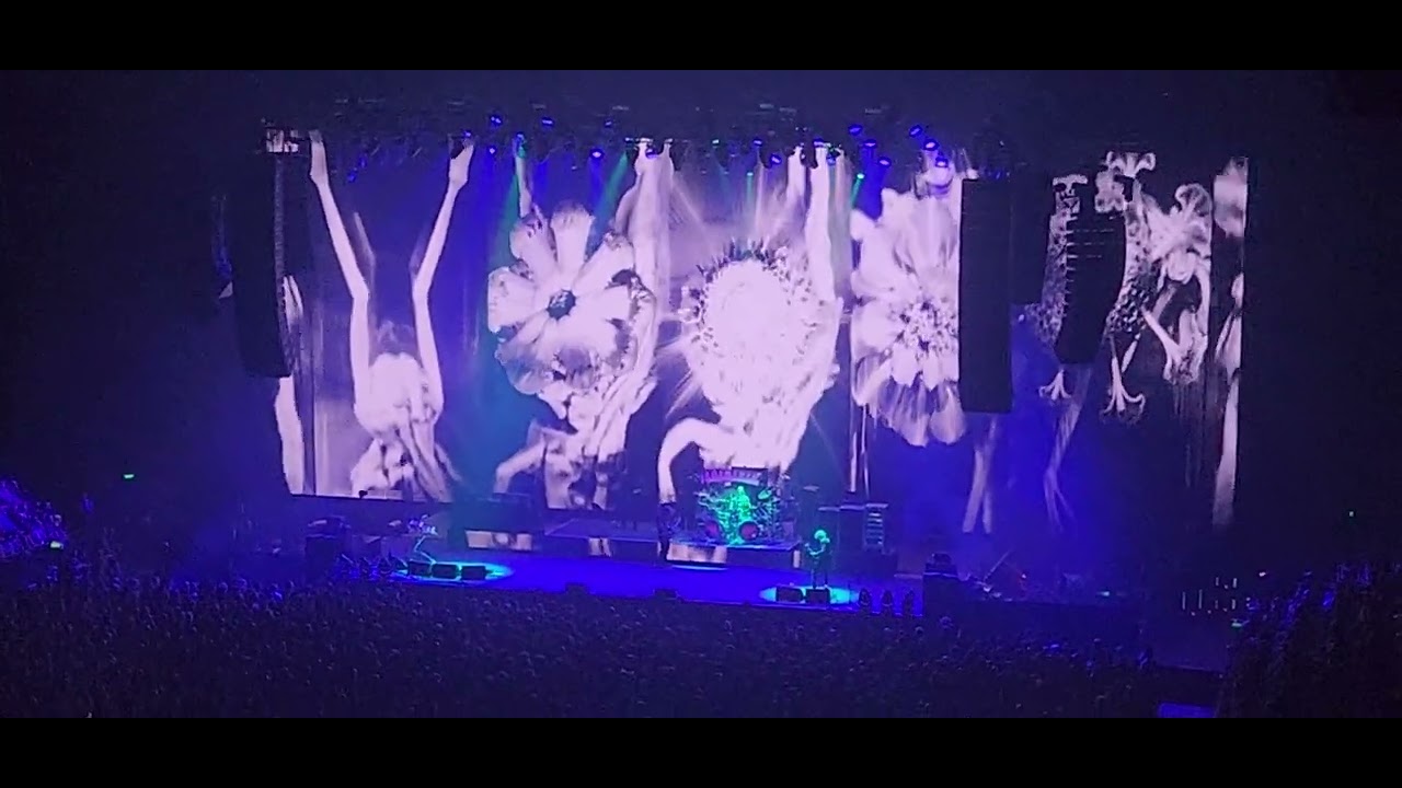 Tool Ozzy tribute - ( Cover ) Sabbath's Hand Of Doom live akl nz 🇳🇿 - YouTube