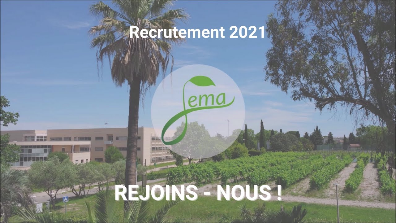 Deviens Junior-Entrepreneur à Montpellier Supagro // JEMA Recrutement 2021