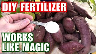 Potatoes Will Immediately Grow And Produce A Massive Harvest | Add Once To Your Soil With This Mix