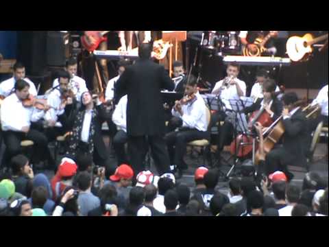 Vini / Wada Kouji - Butterfly（Cover）