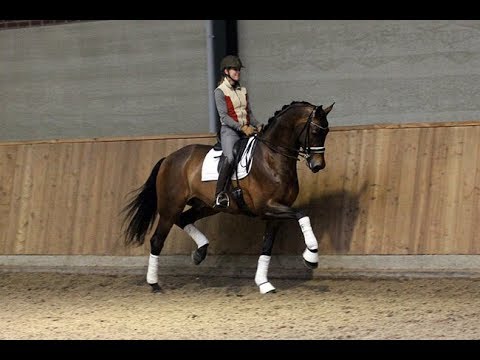 Gericault Bretton Woods x Havidoff x Partout **Sold**