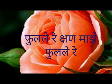 Phulale re kshan maze fulale re |फुलले रे क्षण माझे फुलले रे | ऋतु हिरवा