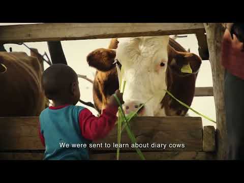 Greening Earth Foundation video thumbnail