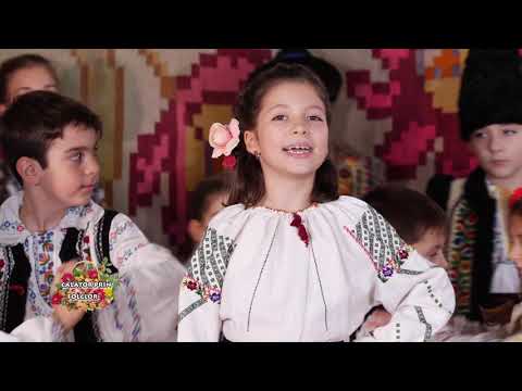 Adelina Hongu - Ramurica de brad verde