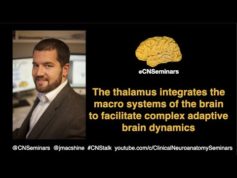 #CNStalk: The thalamus integrates the macro systems of the brain - James M Shine