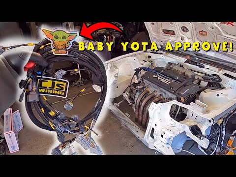 JUNKYARD RESCUED CRX 24: Custom TUCKED Harness from CJS-WIRING! 100% Plug & Play