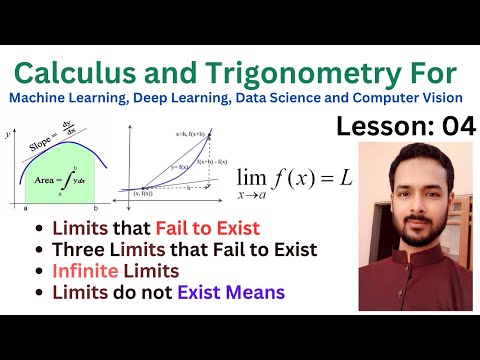 Lesson 04 Limits that Fail to Exist | Three limits that Fail to Exist | What is Infinite Limits |