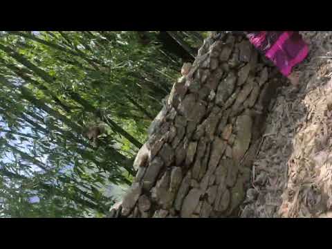 millang village beautiful