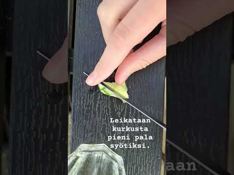 DIY paarma loukku. #diy