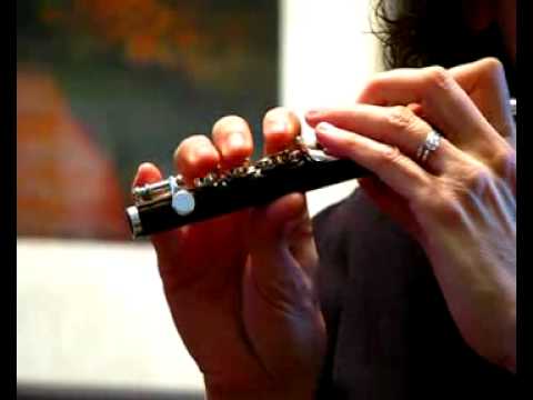 New Di Zhao Piccolo for Sale - Demo of  Mid to High Range