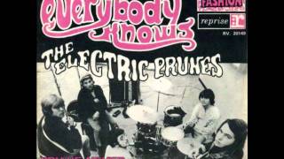 The Electric Prunes - You never had it better