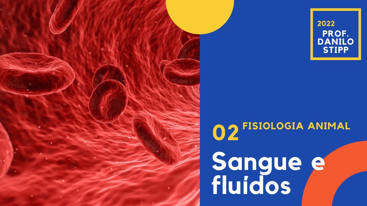 Aula 02 - Composição e funções do sangue 2022