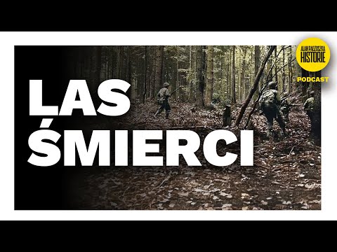 Hurtgen Forest – Massacre of American soldiers