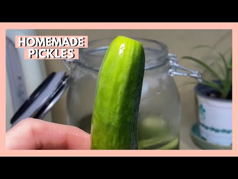 , title : 'Easy Homemade Pickles || how to pickle cucumbers at home? #shorts'
