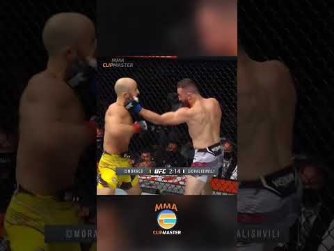 Merab Dvalishvili is a CRAZY MFer!! MEGA COMEBACK WIN over Marlon Moraes