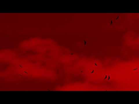 A Morte Branca do Feiticeiro Negro (Trailer) | 10ª Mostra Ecofalante de Cinema