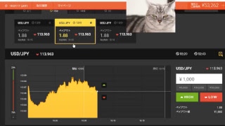 【FX】1万円から始める為替取引【BO】56