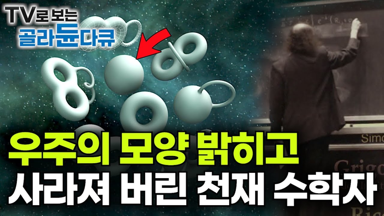 인류 역사상 가장 중요하다고 여겨진 수학 난제를 풀어낸 천재 수학자는 어디로, 그리고 왜 사라졌을까?┃푸앵카레의 추측과 러시아 수학자 그레고리 페렐만┃다큐프라임┃#골라듄다큐