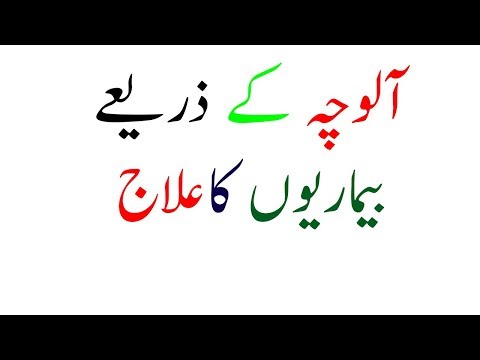 Alocha ke  zeriye Ilaj