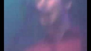 the warehouse project - the futureheads - meantime