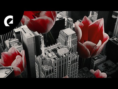 Superintendent McCupcakes - Tulips