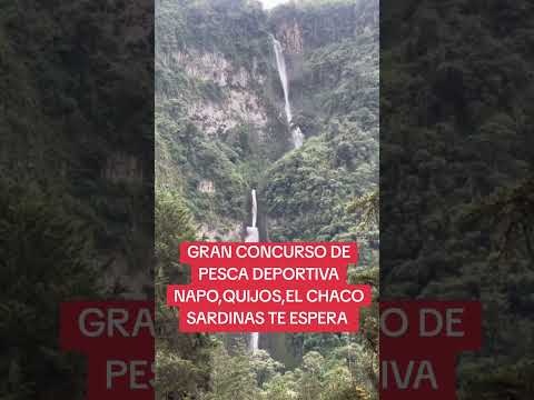 ORIENTE ECUATORIANO NAPO,EL CHACO SARDINAS
