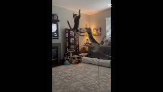 Download lagu #ytdayibenionecikarnolur #funny #butifyoucloseyoureyes #haveitoldyoulatelythatiloveyou #memes mp3 Download lagu #ytdayibenionecikarnolur #funny #butifyoucloseyoureyes #haveitoldyoulatelythatiloveyou #memes mp3