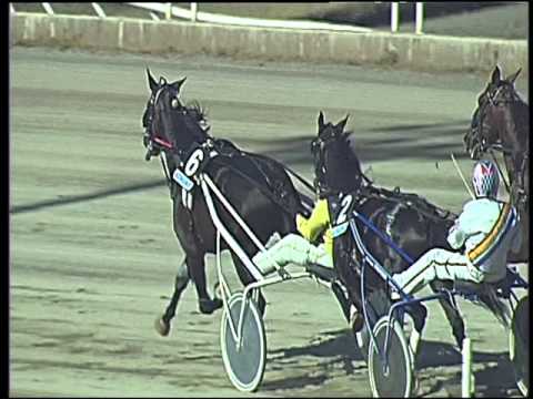 Trotto 15/04/2016 - 4° Corsa