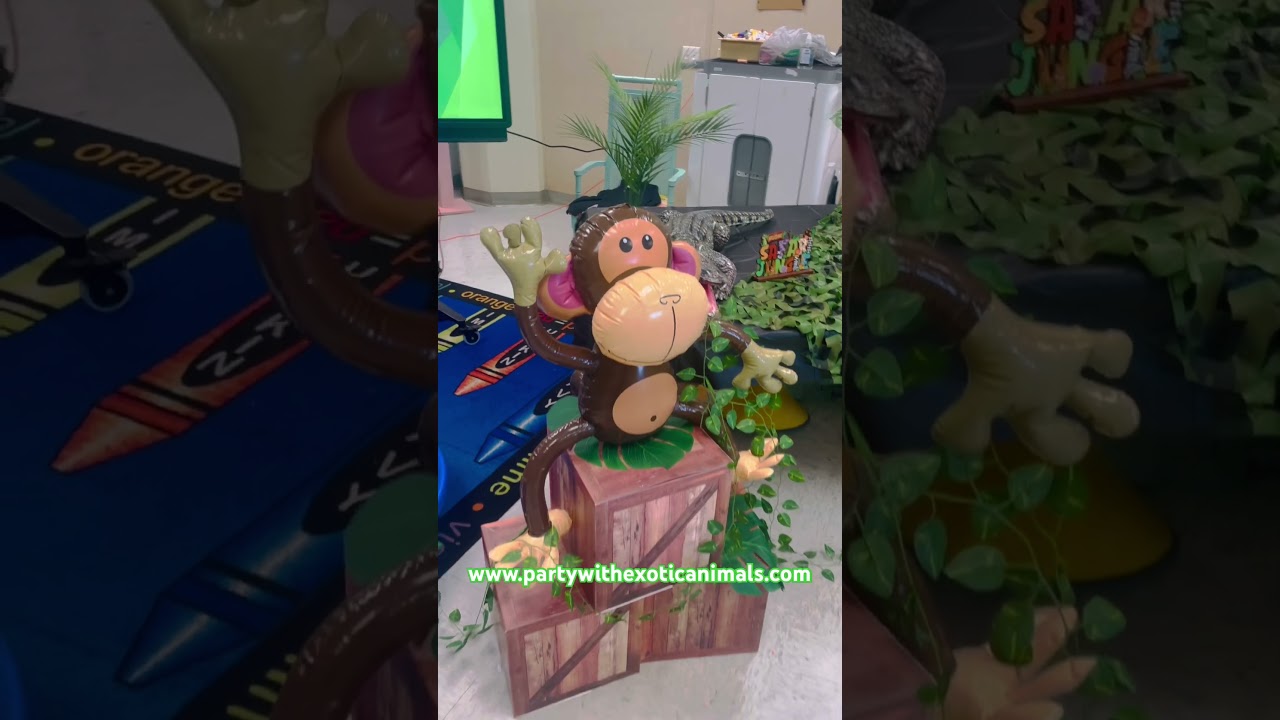 Promotional video thumbnail 1 for Party With Exotic Animals