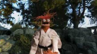 Download lagu Shellfish Self Defense with Pepe the King Prawn mp3 Download lagu Shellfish Self Defense with Pepe the King Prawn mp3