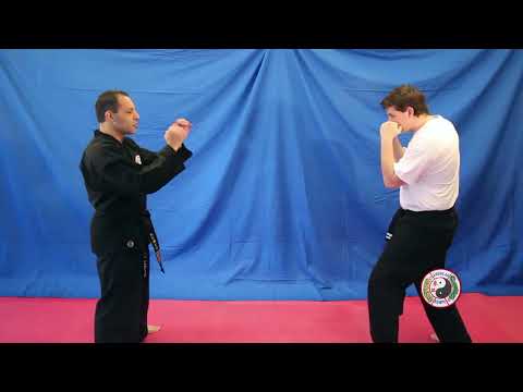 Kempo Karate - Combination 6