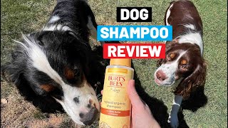 Burt's Bees Dog Shampoo Review