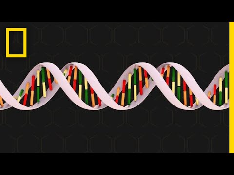 Genetics 101 | National Geographic