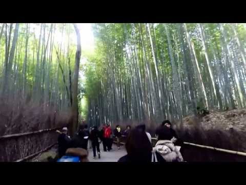 Life in Kyoto: Sagano Bamboo Forest