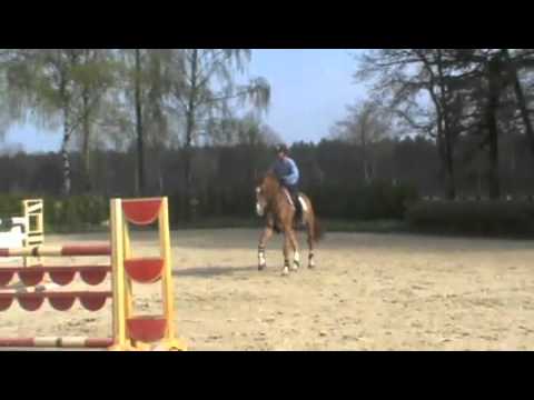 6yo Light On glanemann abril 2013