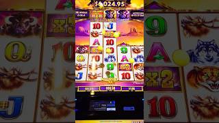 Buffalo Ascension Big Win #slot #casino