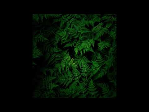 Toki Fuko -  Spring Ray (Spatial Awareness) [SSV15]