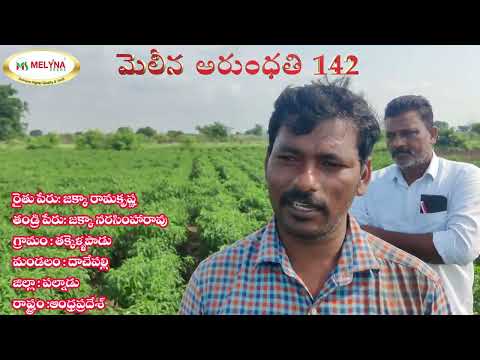 MELYNA ARUNDHATHI 142