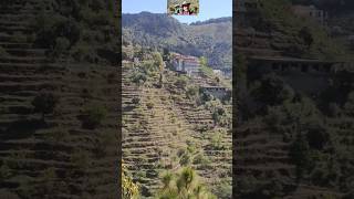 Download lagu Shayad koi Pardesi#Lata Mangeshkar#familytime #natureboy #uttrakhand #viralvideo mp3 Download lagu Shayad koi Pardesi#Lata Mangeshkar#familytime #natureboy #uttrakhand #viralvideo mp3