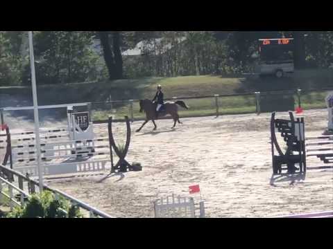 EIFFEL DE HUS*GFE - St Lô - mai 2020