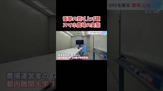 売上げ45億て、、、 #スマホ農場 #政治 #選挙