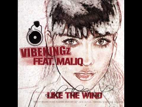 Vibekingz feat. Maliq - Like the Wind