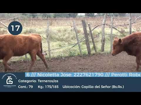 Lote M Y H- Capilla del Señor  Bs As