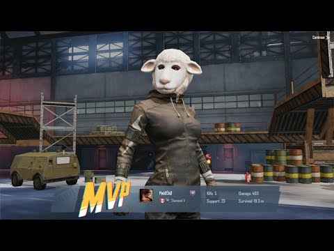PUBG Mobile SQUAD E114 | A sheep and a bear