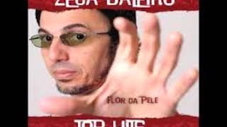 Zeca Baleiro -  Flor da pele