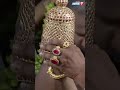 காணகிடைக்காத அரிய காட்சி அம்பிகையின�