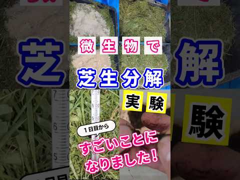 堆肥化の平均期間はどのくらいですか?分解をスピードアップするための方法、要因、ヒントと秘訣  庭園