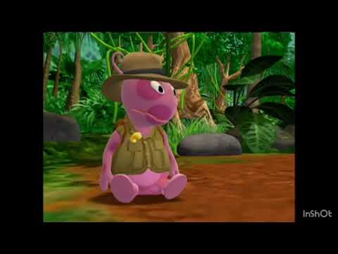 the heart of jungle 🏝 has nothing up down rain